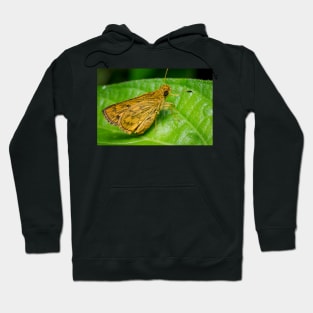 Unique and organic photo of a yellow skipper (butterfly) Hoodie